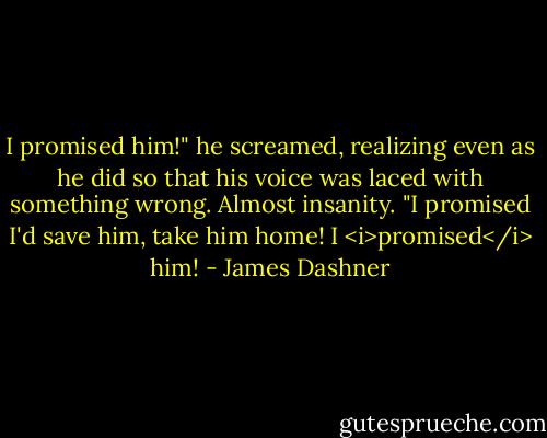 I promised him!" he screamed, realizing even as he did so that his voice was laced with something wrong. Almost insanity. "I promised I'd save him, take him home! I <i>promised</i> him! - James Dashner