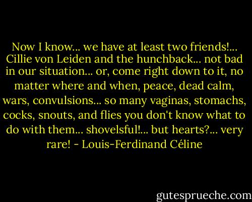 Now I know... we have at least two friends!... Cillie von Leiden and the hunchback... not bad in our situation... or, come right down to it, no matter where and when, peace, dead calm, wars, convulsions... so many vaginas, stomachs, cocks, snouts, and flies you don't know what to do with them... shovelsful!... but hearts?... very rare! - Louis-Ferdinand Céline