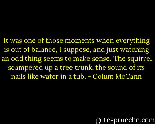 It was one of those moments when everything is out of balance, I suppose, and just watching an odd thing seems to make sense. The squirrel scampered up a tree trunk, the sound of its nails like water in a tub. - Colum McCann