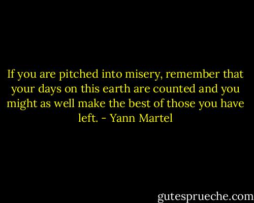 If you are pitched into misery, remember that your days on this earth are counted and you might as well make the best of those you have left. - Yann Martel