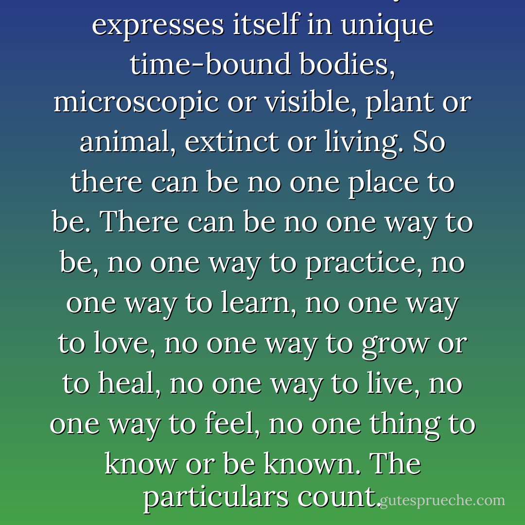 Life on earth is a whole, yet it expresses itself in unique time-bound bodies, microscopic or visible, plant or animal, extinct or living. So there can be no one place to be. There can be no one way to be, no one way to practice, no one way to learn, no one way to love, no one way to grow or to heal, no one way to live, no one way to feel, no one thing to know or be known. The particulars count. - Jon Kabat-Zinn