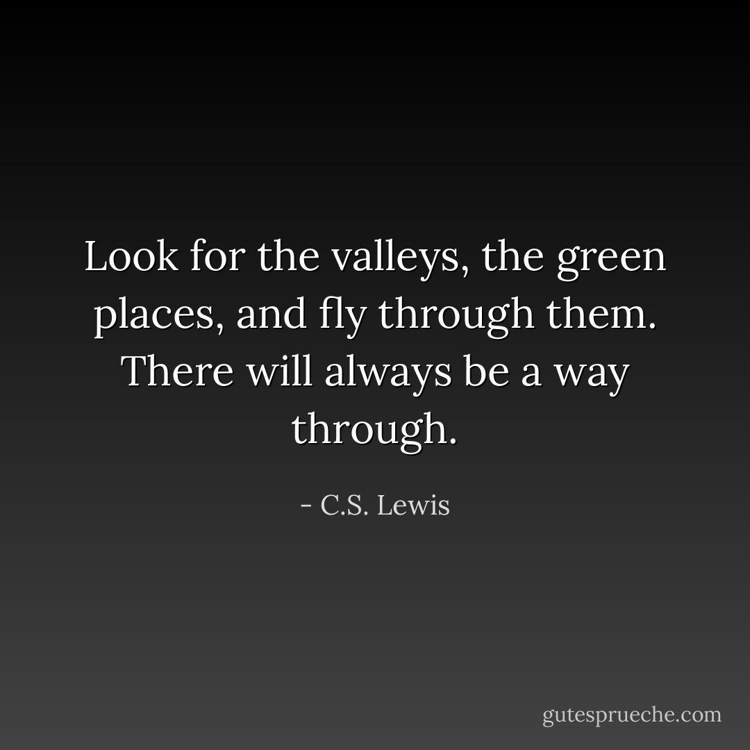 Look for the valleys, the green places, and fly through them. There will always be a way through. - C.S. Lewis