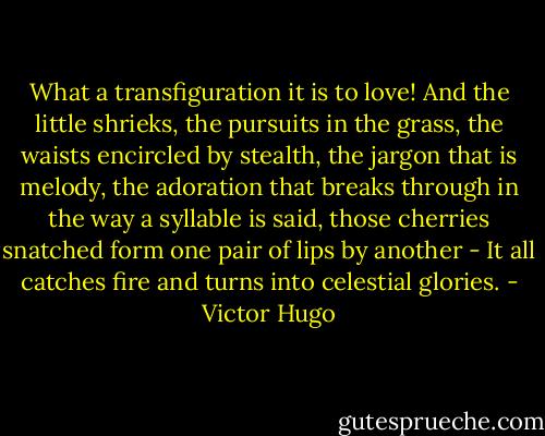 What a transfiguration it is to love! And the little shrieks, the pursuits in the grass, the waists encircled by stealth, the jargon that is melody, the adoration that breaks through in the way a syllable is said, those cherries snatched form one pair of lips by another - It all catches fire and turns into celestial glories. - Victor Hugo
