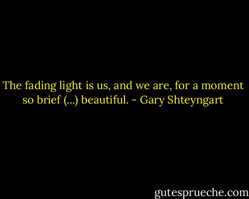 The fading light is us, and we are, for a moment so brief (...) beautiful. - Gary Shteyngart
