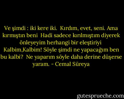 Ve şimdi : iki kere iki.<br /><br />Kırdım, evet, seni. Ama kırmıştın beni<br /><br />Hadi sadece kırılmıştım diyerek önleyeyim herhangi bir eleştiriyi<br /><br />Kalbim,Kalbim! Söyle şimdi ne yapacağım ben bu kalbi?<br /><br />Ne yaparım söyle daha derine düşerse yaram. - Cemal Süreya