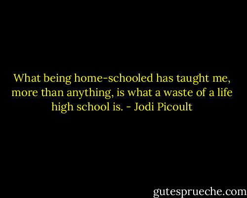 What being home-schooled has taught me, more than anything, is what a waste of a life high school is. - Jodi Picoult