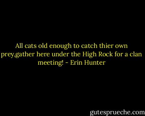 All cats old enough to catch thier own prey,gather here under the High Rock for a clan meeting! - Erin Hunter
