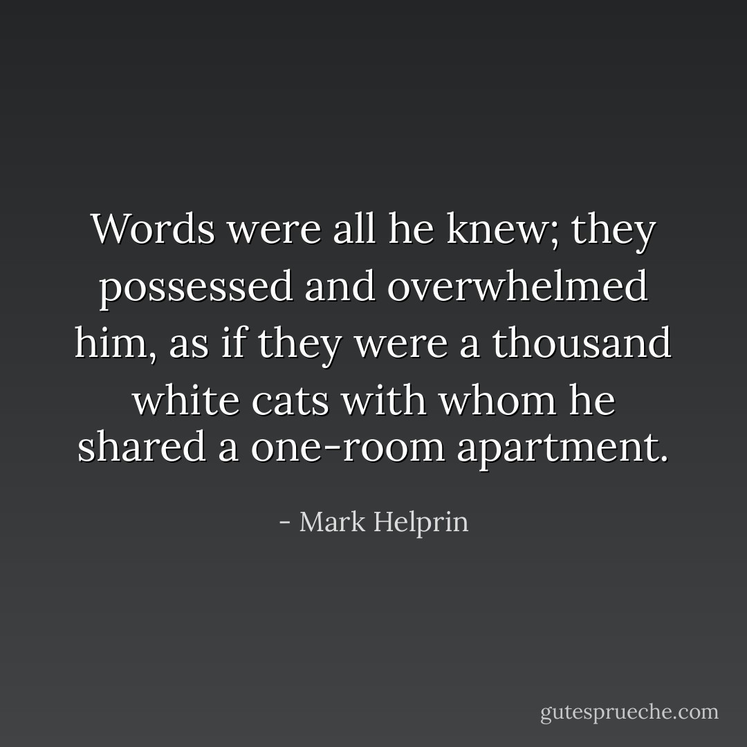 Words were all he knew; they possessed and overwhelmed him, as if they were a thousand white cats with whom he shared a one-room apartment. - Mark Helprin