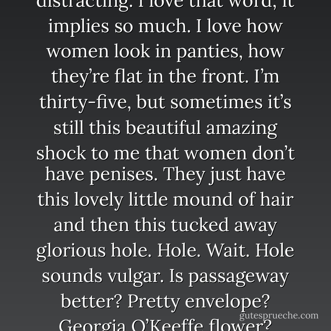 Anyway, what do women grab when they’re nervous and sitting at their desks? Do they slip their hands inside their panties? What a distracting thought. Just the word panty is distracting. I love that word; it implies so much. I love how women look in panties, how they’re flat in the front. I’m thirty-five, but sometimes it’s still this beautiful amazing shock to me that women don’t have penises. They just have this lovely little mound of hair and then this tucked away glorious hole. Hole. Wait. Hole sounds vulgar. Is passageway better? Pretty envelope? Georgia O’Keeffe flower? Pussy? Pussy is good. I like the word pussy. Tucked away beautiful pussy. I wish I could put my face in one right now and sing out, “I love you! - Jonathan Ames