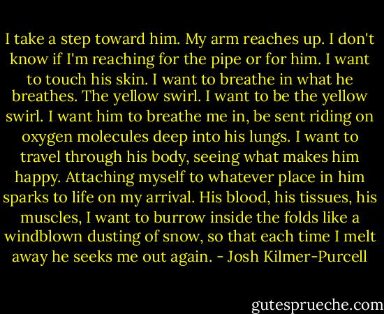 I take a step toward him. My arm reaches up. I don't know if I'm reaching for the pipe or for him. I want to touch his skin. I want to breathe in what he breathes. The yellow swirl. I want to be the yellow swirl. I want him to breathe me in, be sent riding on oxygen molecules deep into his lungs. I want to travel through his body, seeing what makes him happy. Attaching myself to whatever place in him sparks to life on my arrival. His blood, his tissues, his muscles, I want to burrow inside the folds like a windblown dusting of snow, so that each time I melt away he seeks me out again. - Josh Kilmer-Purcell