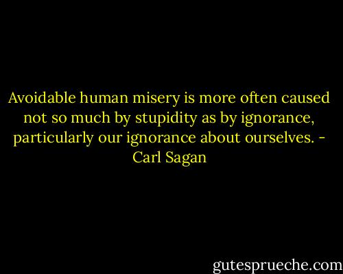 Avoidable human misery is more often caused not so much by stupidity as by ignorance, particularly our ignorance about ourselves. - Carl Sagan