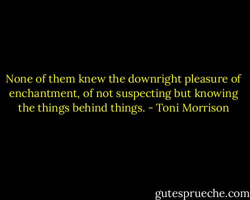None of them knew the downright pleasure of enchantment, of not suspecting but knowing the things behind things. - Toni Morrison