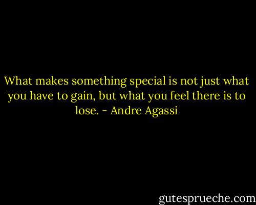 What makes something special is not just what you have to gain, but what you feel there is to lose. - Andre Agassi