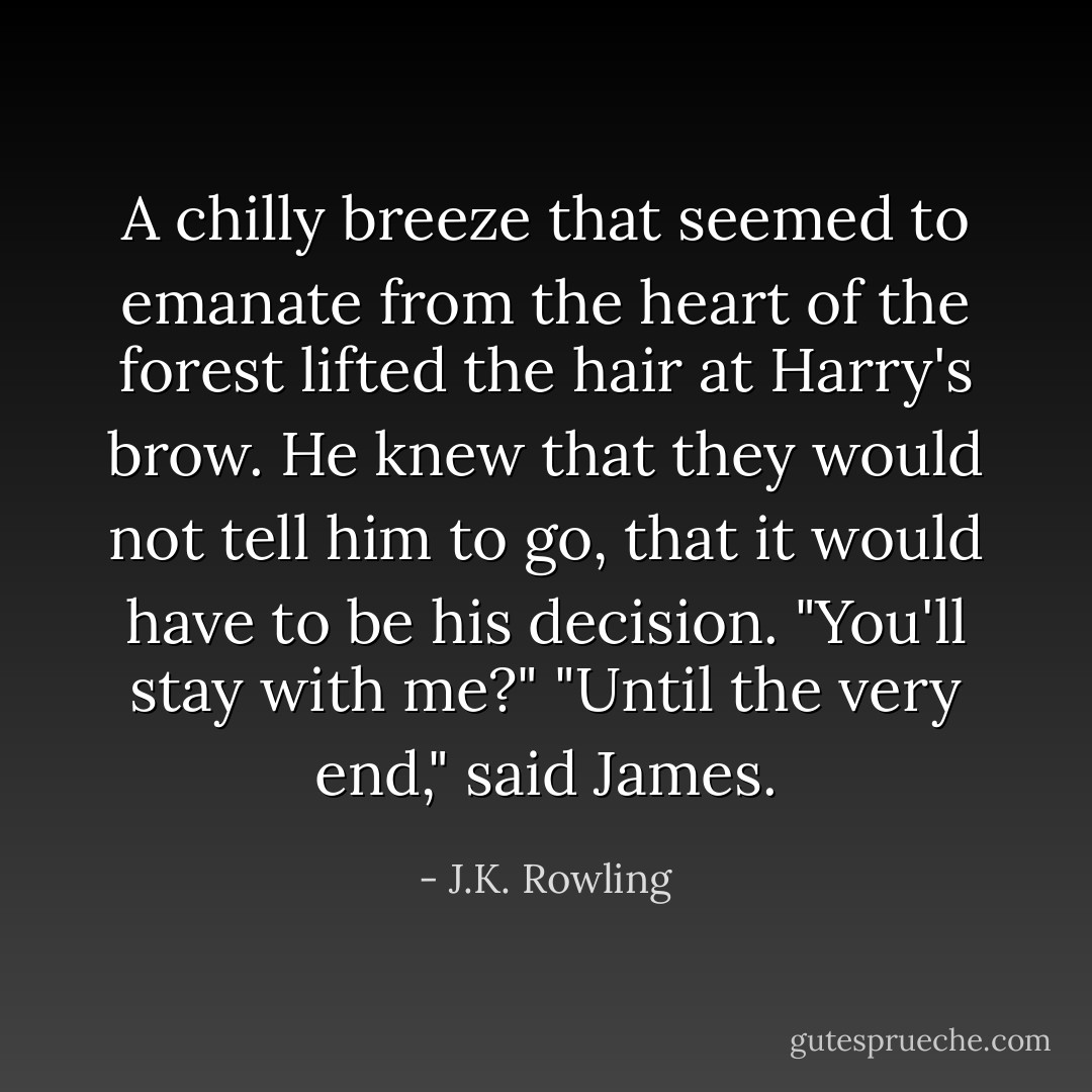 A chilly breeze that seemed to emanate from the heart of the forest lifted the hair at Harry's brow. He knew that they would not tell him to go, that it would have to be his decision. "You'll stay with me?"<br />"Until the very end," said James. - J.K. Rowling