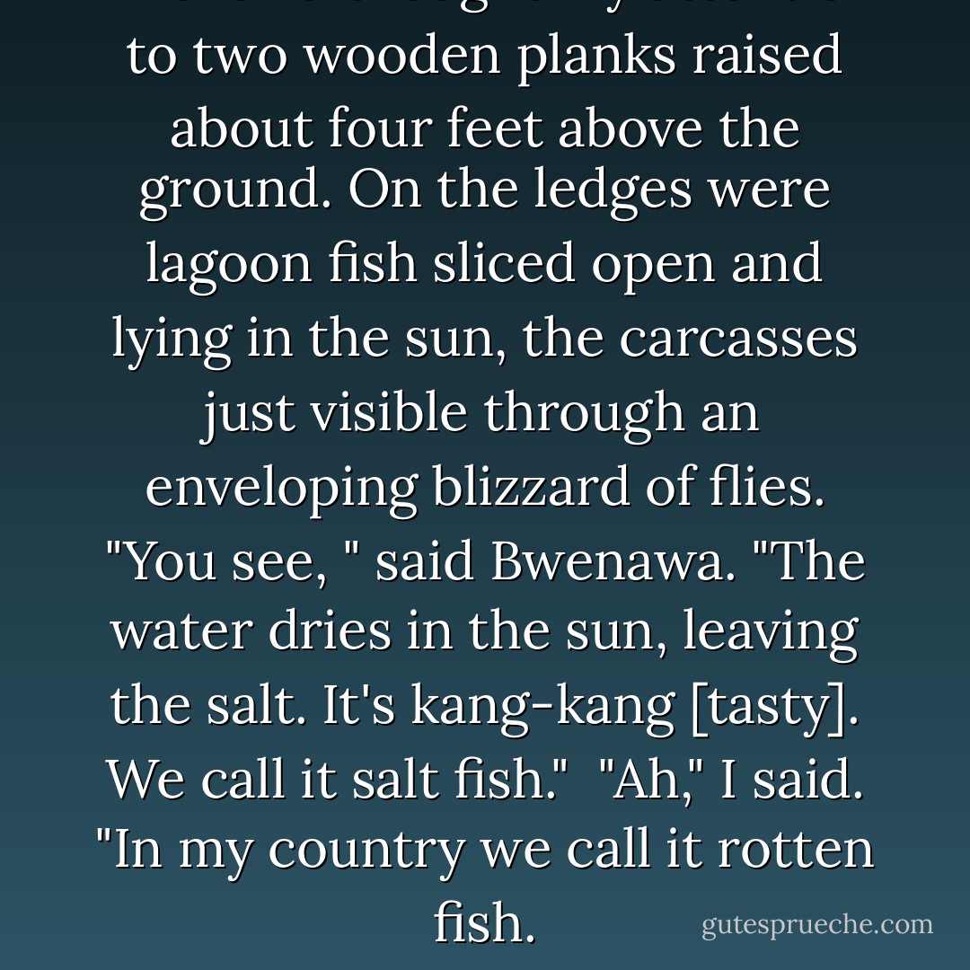 Bwenawa brought my attention to two wooden planks raised about four feet above the ground. On the ledges were lagoon fish sliced open and lying in the sun, the carcasses just visible through an enveloping blizzard of flies. "You see, " said Bwenawa. "The water dries in the sun, leaving the salt. It's kang-kang [tasty]. We call it salt fish."<br /><br />"Ah," I said. "In my country we call it rotten fish. - J. Maarten Troost