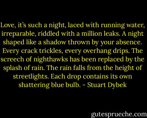 Love, it’s such a night, laced with running water, irreparable, riddled with a million leaks. A night shaped like a shadow thrown by your absence. Every crack trickles, every overhang drips. The screech of nighthawks has been replaced by the splash of rain. The rain falls from the height of streetlights. Each drop contains its own shattering blue bulb. - Stuart Dybek