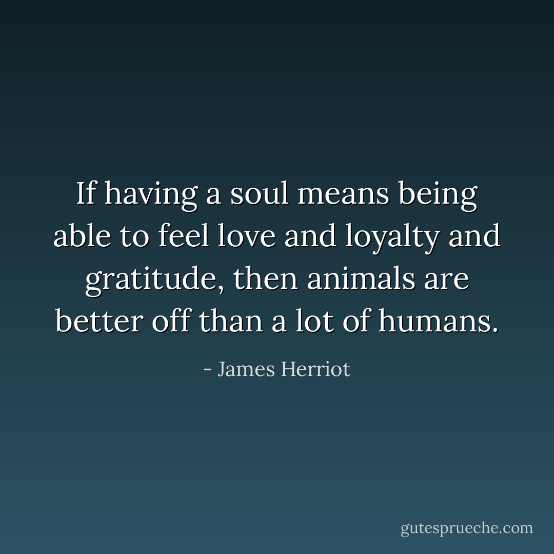 If having a soul means being able to feel love and loyalty and gratitude, then animals are better off than a lot of humans. - James Herriot
