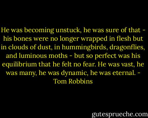 He was becoming unstuck, he was sure of that - his bones were no longer wrapped in flesh but in clouds of dust, in hummingbirds, dragonflies, and luminous moths - but so perfect was his equilibrium that he felt no fear. He was vast, he was many, he was dynamic, he was eternal. - Tom Robbins