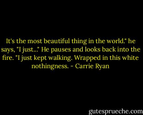 It's the most beautiful thing in the world." he says, "I just..." He pauses and looks back into the fire. "I just kept walking. Wrapped in this white nothingness. - Carrie Ryan