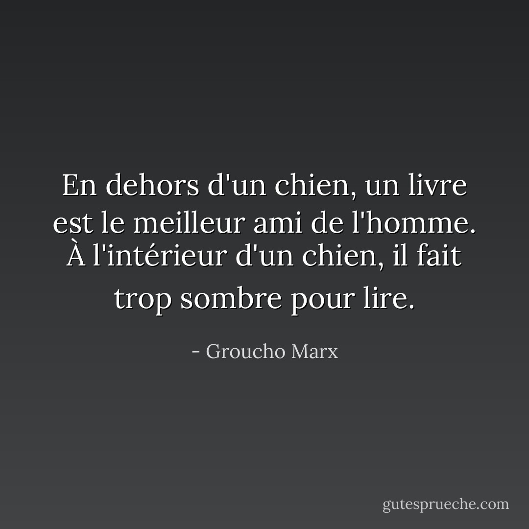 En dehors d'un chien, un livre est le meilleur ami de l'homme. À l'intérieur d'un chien, il fait trop sombre pour lire. - Groucho Marx