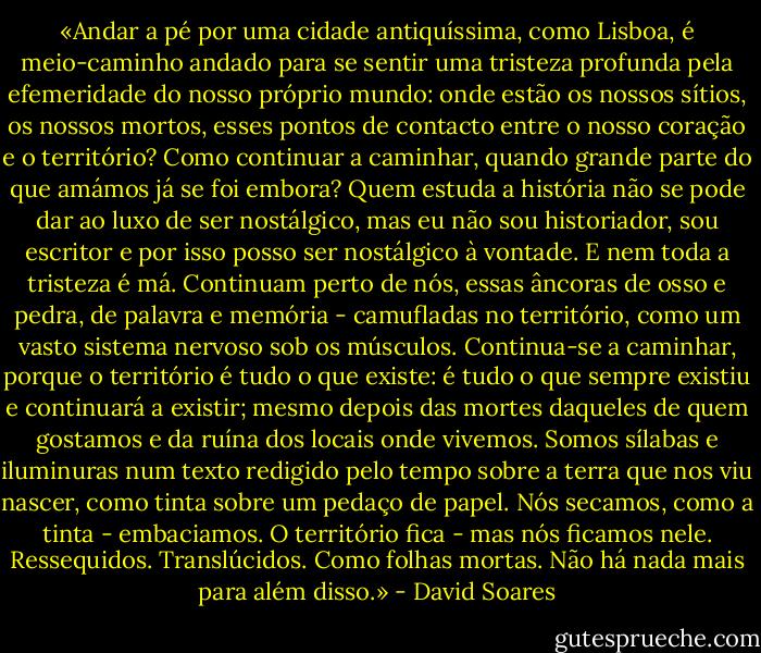 «Andar a pé por uma cidade antiquíssima, como Lisboa, é meio-caminho andado para se sentir uma tristeza profunda pela efemeridade do nosso próprio mundo: onde estão os nossos sítios, os nossos mortos, esses pontos de contacto entre o nosso coração e o território? Como continuar a caminhar, quando grande parte do que amámos já se foi embora? Quem estuda a história não se pode dar ao luxo de ser nostálgico, mas eu não sou historiador, sou escritor e por isso posso ser nostálgico à vontade. E nem toda a tristeza é má. Continuam perto de nós, essas âncoras de osso e pedra, de palavra e memória - camufladas no território, como um vasto sistema nervoso sob os músculos. Continua-se a caminhar, porque o território é tudo o que existe: é tudo o que sempre existiu e continuará a existir; mesmo depois das mortes daqueles de quem gostamos e da ruína dos locais onde vivemos. Somos sílabas e iluminuras num texto redigido pelo tempo sobre a terra que nos viu nascer, como tinta sobre um pedaço de papel. Nós secamos, como a tinta - embaciamos. O território fica - mas nós ficamos nele. Ressequidos. Translúcidos. Como folhas mortas. Não há nada mais para além disso.» - David Soares