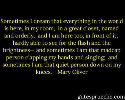 Sometimes I dream<br />that everything in the world is here, in my room, <br />in a great closet, named and orderly,<br /><br />and I am here too, in front of it, <br />hardly able to see for the flash and the brightness—<br />and sometimes I am that madcap person clapping my hands and singing; <br />and sometimes I am that quiet person down on my knees. - Mary Oliver