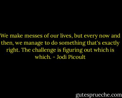 We make messes of our lives, but every now and then, we manage to do something that's exactly right. The challenge is figuring out which is which. - Jodi Picoult