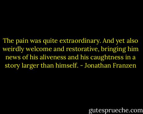 The pain was quite extraordinary. And yet also weirdly welcome and restorative, bringing him news of his aliveness and his caughtness in a story larger than himself. - Jonathan Franzen