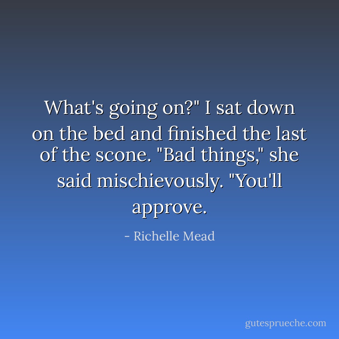 What's going on?" I sat down on the bed and finished the last of the scone.<br />"Bad things," she said mischievously. "You'll approve. - Richelle Mead