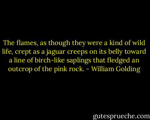 The flames, as though they were a kind of wild life, crept as a jaguar creeps on its belly toward a line of birch-like saplings that fledged an outcrop of the pink rock. - William Golding