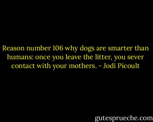 Reason number 106 why dogs are smarter than humans: once you leave the litter, you sever contact with your mothers. - Jodi Picoult