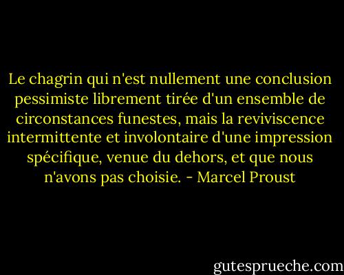 Le chagrin qui n'est nullement une conclusion pessimiste librement tirée d'un ensemble de circonstances funestes, mais la reviviscence intermittente et involontaire d'une impression spécifique, venue du dehors, et que nous n'avons pas choisie. - Marcel Proust