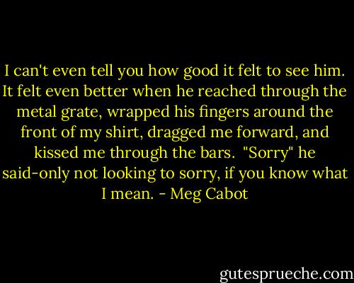 I can't even tell you how good it felt to see him. It felt even better when he reached through the metal grate, wrapped his fingers around the front of my shirt, dragged me forward, and kissed me through the bars. <br />"Sorry" he said-only not looking to sorry, if you know what I mean. - Meg Cabot
