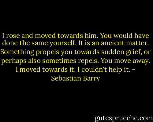 I rose and moved towards him. You would have done the same yourself. It is an ancient matter. Something propels you towards sudden grief, or perhaps also sometimes repels. You move away. I moved towards it, I couldn't help it. - Sebastian Barry