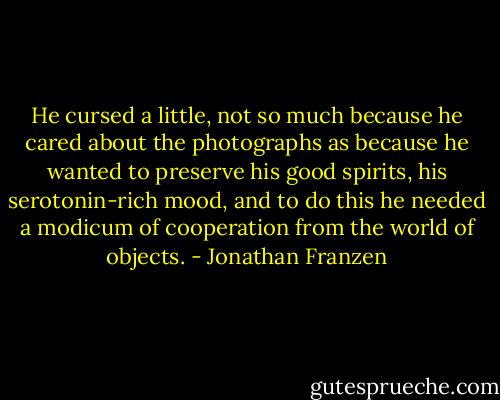 He cursed a little, not so much because he cared about the photographs as because he wanted to preserve his good spirits, his serotonin-rich mood, and to do this he needed a modicum of cooperation from the world of objects. - Jonathan Franzen