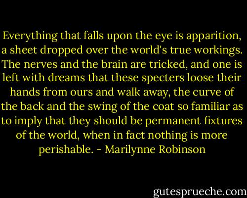 Everything that falls upon the eye is apparition, a sheet dropped over the world's true workings. The nerves and the brain are tricked, and one is left with dreams that these specters loose their hands from ours and walk away, the curve of the back and the swing of the coat so familiar as to imply that they should be permanent fixtures of the world, when in fact nothing is more perishable. - Marilynne Robinson