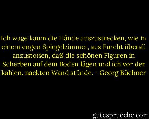 Ich wage kaum die Hände auszustrecken, wie in einem engen Spiegelzimmer, aus Furcht überall anzustoßen, daß die schönen Figuren in Scherben auf dem Boden lägen und ich vor der kahlen, nackten Wand stünde. - Georg Büchner