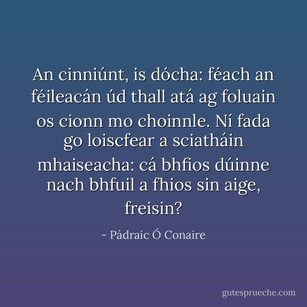 An cinniúnt, is dócha: féach an féileacán úd thall atá ag foluain os cionn mo choinnle. Ní fada go loiscfear a sciatháin mhaiseacha: cá bhfios dúinne nach bhfuil a fhios sin aige, freisin? - Pádraic Ó Conaire