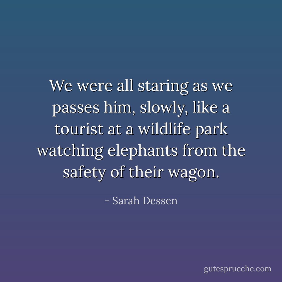 We were all staring as we passes him, slowly, like a tourist at a wildlife park watching elephants from the safety of their wagon. - Sarah Dessen