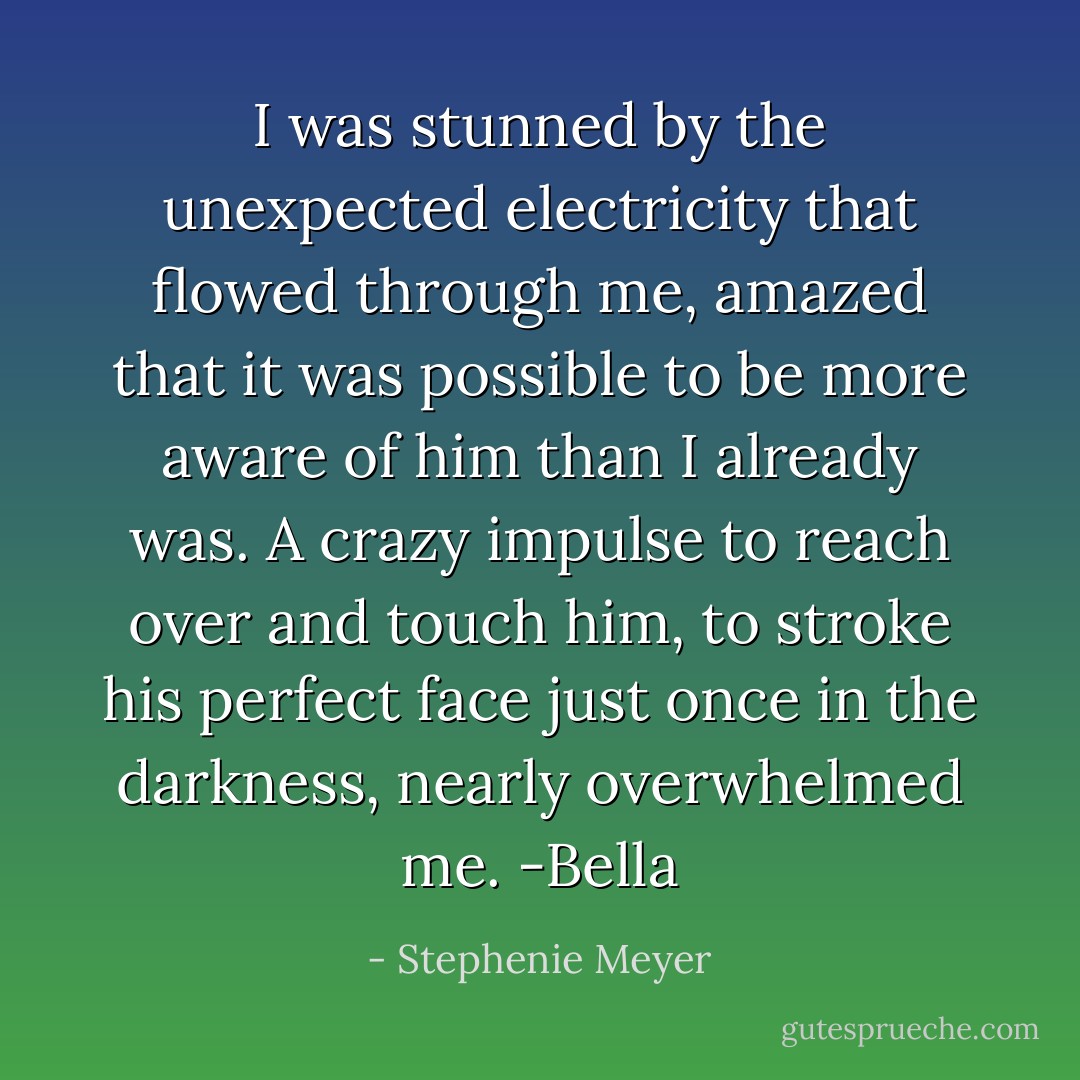 I was stunned by the unexpected electricity that flowed through me, amazed that it was possible to be more aware of him than I already was. A crazy impulse to reach over and touch him, to stroke his perfect face just once in the darkness, nearly overwhelmed me.<br />-Bella - Stephenie Meyer