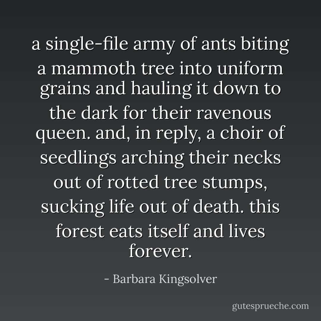 a single-file army of ants biting a mammoth tree into uniform grains and hauling it down to the dark for their ravenous queen. and, in reply, a choir of seedlings arching their necks out of rotted tree stumps, sucking life out of death. this forest eats itself and lives forever. - Barbara Kingsolver