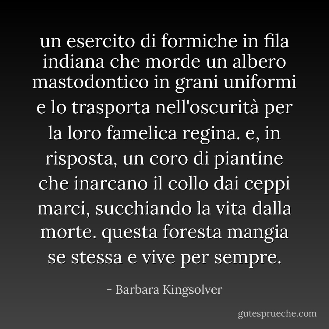 un esercito di formiche in fila indiana che morde un albero mastodontico in grani uniformi e lo trasporta nell'oscurità per la loro famelica regina. e, in risposta, un coro di piantine che inarcano il collo dai ceppi marci, succhiando la vita dalla morte. questa foresta mangia se stessa e vive per sempre. - Barbara Kingsolver