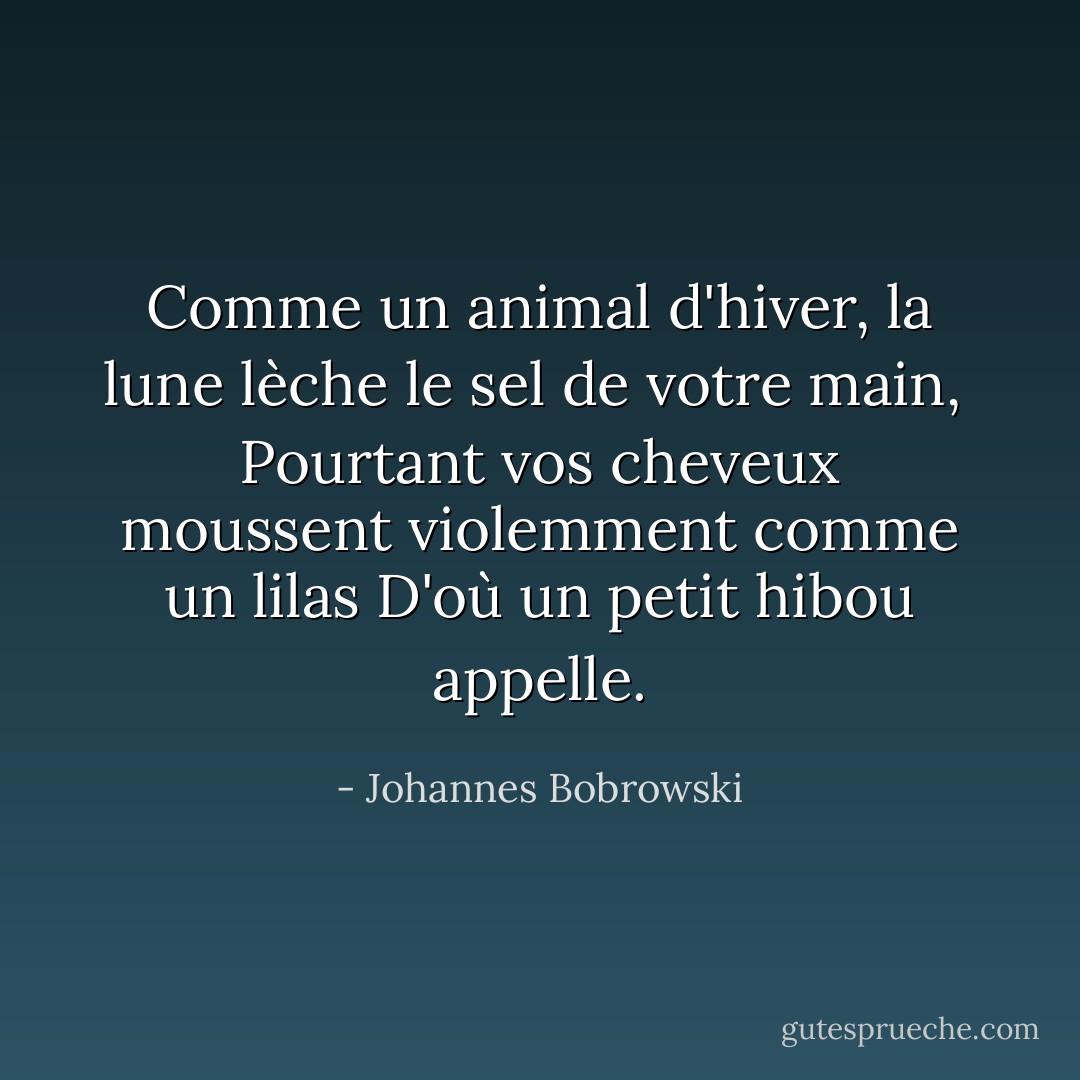 Comme un animal d'hiver, la lune lèche le sel de votre main, <br />Pourtant vos cheveux moussent violemment comme un lilas<br />D'où un petit hibou appelle. - Johannes Bobrowski
