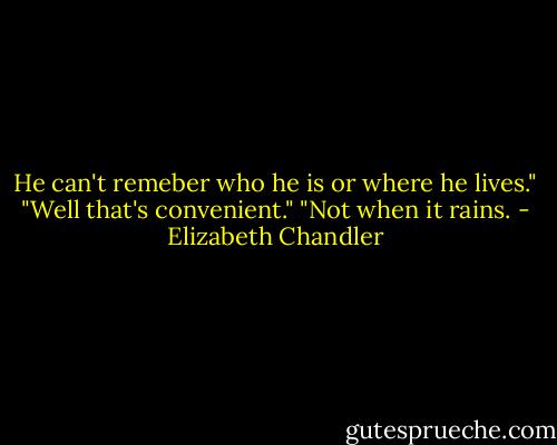 He can't remeber who he is or where he lives."<br />"Well that's convenient."<br />"Not when it rains. - Elizabeth Chandler