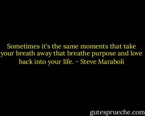 Sometimes it's the same moments that take your breath away that breathe purpose and love back into your life. - Steve Maraboli