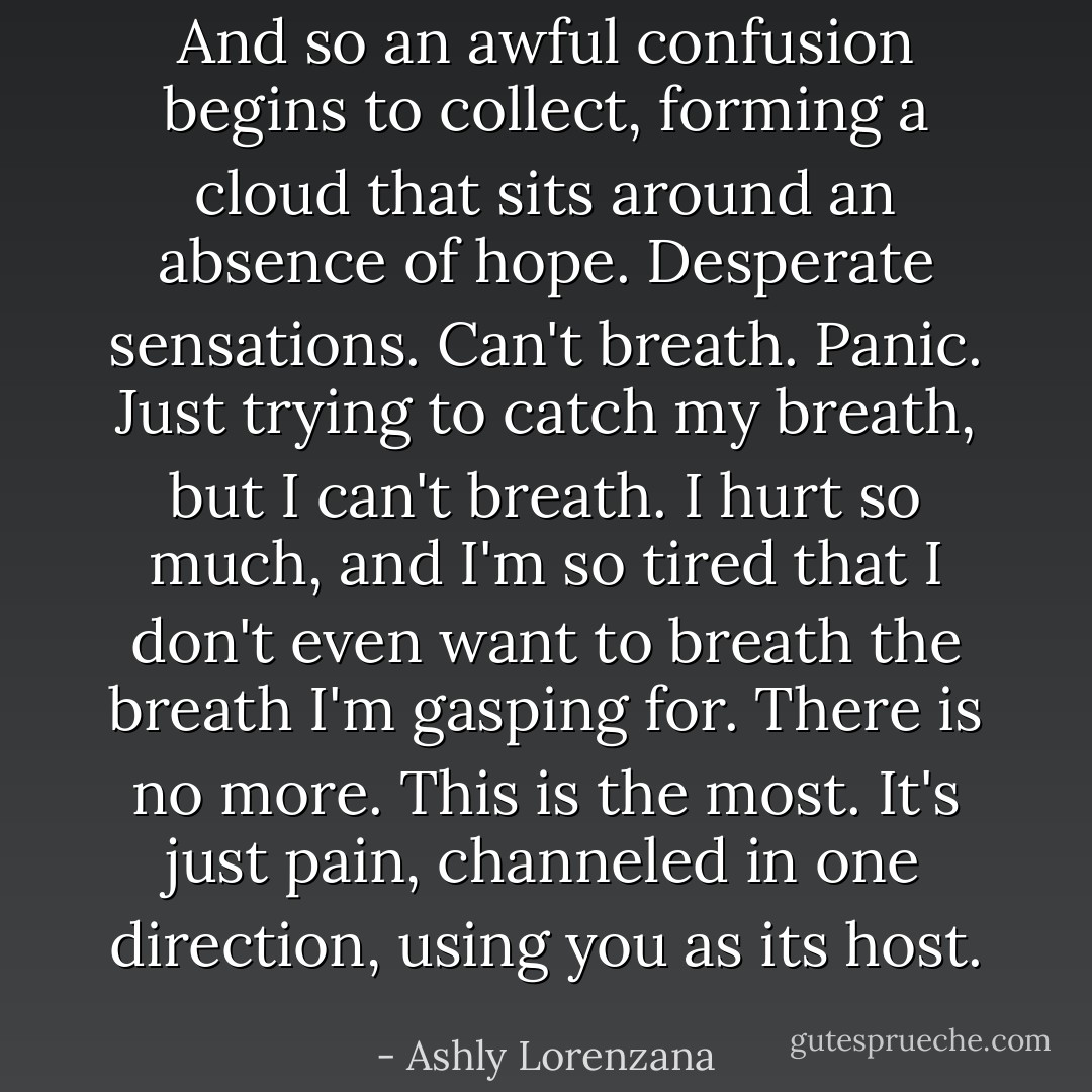 And so an awful confusion begins to collect, forming a cloud that sits around an absence of hope. Desperate sensations. Can't breath. Panic. Just trying to catch my breath, but I can't breath. I hurt so much, and I'm so tired that I don't even want to breath the breath I'm gasping for. There is no more. This is the most. It's just pain, channeled in one direction, using you as its host. - Ashly Lorenzana