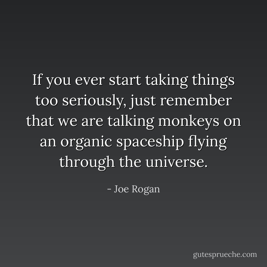 If you ever start taking things too seriously, just remember that we are talking monkeys on an organic spaceship flying through the universe. - Joe Rogan