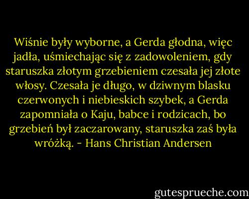 Wiśnie były wyborne, a Gerda głodna, więc jadła, uśmiechając się z zadowoleniem, gdy staruszka złotym grzebieniem czesała jej złote włosy. Czesała je długo, w dziwnym blasku czerwonych i niebieskich szybek, a Gerda zapomniała o Kaju, babce i rodzicach, bo grzebień był zaczarowany, staruszka zaś była wróżką. - Hans Christian Andersen