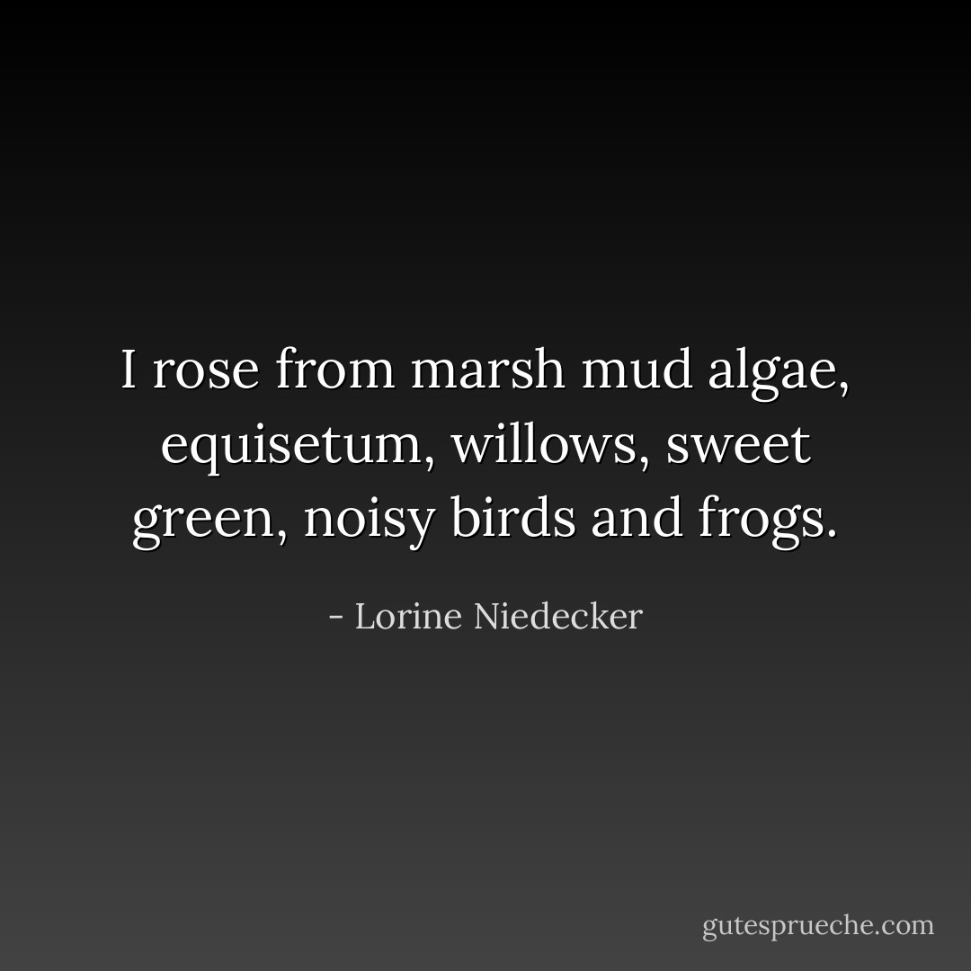 I rose from marsh mud<br />algae, equisetum, willows,<br />sweet green, noisy<br />birds and frogs. - Lorine Niedecker