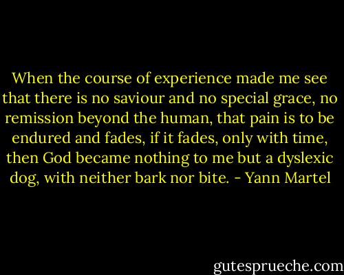 When the course of experience made me see that there is no saviour and no special grace, no remission beyond the human, that pain is to be endured and fades, if it fades, only with time, then God became nothing to me but a dyslexic dog, with neither bark nor bite. - Yann Martel